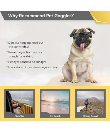 NAMSAN Pet Goggles - Anti-UV, Windproof Dog Sunglasses for Small to Medium Dogs, Adjustable Straps (Black/Orange) - Buy Online on GoSupps.com