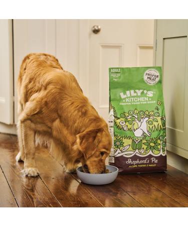 Lily's Kitchen Made with Natural Ingredients Adult Dry Dog Food Lamb Shepherd's Pie Balanced Recipe 12kg bag - Buy Online on GoSupps.com