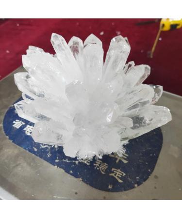 Specimen 1pcs Natural Crystal Cluster Raw Quartz White ReikiStones Crystal Point Specimen Home Decoration Ra Crystals Stone QINTINYIN 700-800g - Buy Online on GoSupps.com