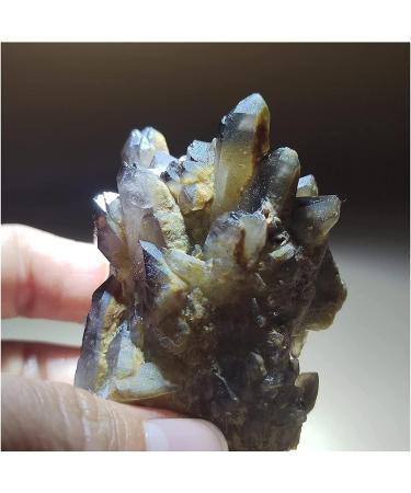 Natural Crystal Rough Minerals s 81.7 Gnatural Tee Topaz Gross Smoky Obelisk Aura Round Vein Home decoring1pc s Decoration - Buy Online on GoSupps.com