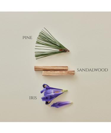 Beauty of Joseon Pine Grove : Eau De Perfume (30ml 1fl.oz.) - Buy Online on GoSupps.com