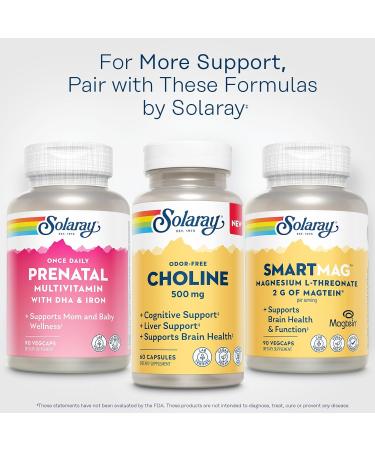 SOLARAY Choline 500 mg Cognitive Brain Health and Liver Support Supplement Powerful Brain Supplement & Choline Source for Adults Odor-Free Vegan Liquid VegCaps 60 Servings 60 Capsules - Buy Online on GoSupps.com