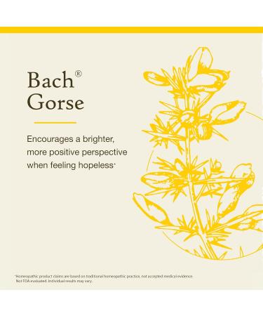 Bach Original Flower Remedies Gorse - Have Hope - Natural Homeopathic Flower Essence for Emotional Balance - Vegan Gluten Free Sugar Free - 20mL Dropper - Buy Online on GoSupps.com