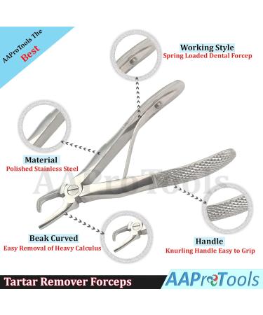 Tartar Remover Forceps for Dogs | Small Size 4 | Dental Vet Tool | A+ Quality Pet Care - Buy Online on GoSupps.com