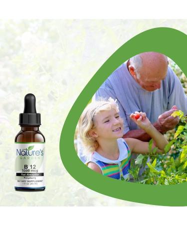 NGE - B12 Drops 5000 mcg/ml - 1 oz Liquid Vitamins - Buy Online on GoSupps.com