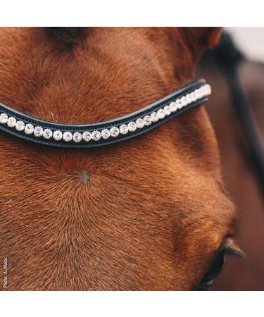 Schockem hle EQUITUS BETA Anatomical Special Bridle - Black Silver VB | Premium Equestrian Gear for International Shipping - Buy Online on GoSupps.com