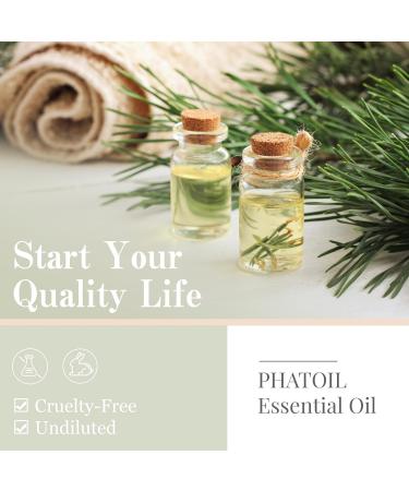 PHATOIL Pine Needles Essential Oil 10ML | 100% Pure & Undiluted, Cruelty-Free | Best Pine Needles Oil for Diffusers - Home Aromatherapy | 10.00 ml (Pack of 1) - Buy Online on GoSupps.com