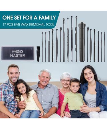 17 Pcs Stainless Steel Ear Wax Removal Tool Set with Cleaning Brush and Storage Box | Ear Cleaner Kit for Earwax Removal - Buy Online on GoSupps.com