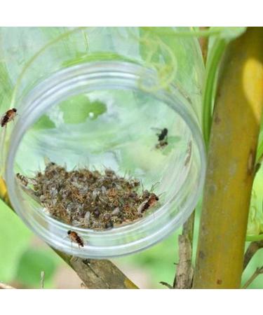 Fly Traps Outdoor - Wasp Catcher for Outside Weather Proof Hornet Catchers for Garden Patio Camping Hallway Yard Stable Barn - Buy Online on GoSupps.com