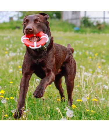 Nobby TPR Lifebuoy with Rope - 15 cm - Durable Floating Safety Device for Pets - International Shipping Available - Buy Online on GoSupps.com