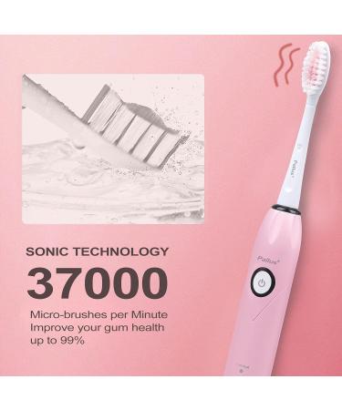 Pallus Electric Toothbrush - Sonic Toothbrush for Adults 5 Dupont Brush Heads 37 000 VPM 5 Modes 2-Hour Charge 30 Days Use Pink - International Shipping Available - Buy Online on GoSupps.com