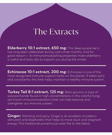 Rasa Wellderberry Adaptogenic Mushroom Coffee Alternative | Vegan Keto Ayurveda Wellness Tonic with Chaga + Reishi (8 oz. / 30 Servings) - Buy Online on GoSupps.com