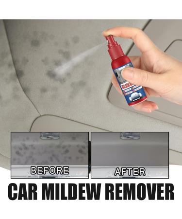 KOAHDE Automobile Mold Remover Spray Automotive Mold Cleaner Spray Automotive Interior Mold Cleaner Revolutionary Mould Remover Spray Mold and Mildew Remover Gel Car Mold Remover Cleaning 2PC - Buy Online on GoSupps.com