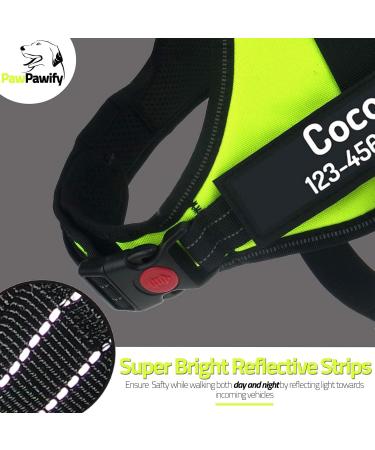 Pawpawify Personalized Dog Harness - No Pull Durable Training Harness for Dogs (Chest 24-31in Green) - Prevents Tugging & Choking - Buy Online on GoSupps.com