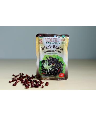 Your Organics Black Beans by Jyoti, 6 pouches of 10 oz each, All Natural, Product of USA, Gluten Free, Vegan, NON GMO, BPA Free, Low Salt