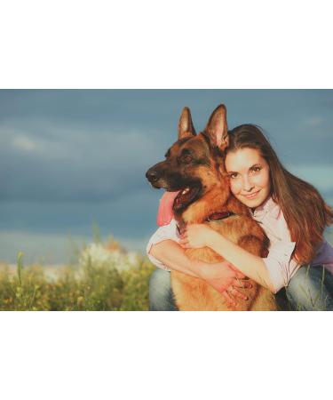 Vet's Advantage Pure MSM Powder for Dogs - Rapid Effect Joint Support to Help Improve Your Dog's Mobility and Comfort - Buy Online on GoSupps.com