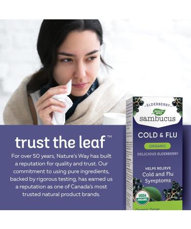 Nature's Way Sambucus Organic Cold and Flu Care Elderberry Syrup Used in Herbal Medicine to Help Relieve Symptoms (Coughs and Sore Throats) in Adults 120 ml 120 ml (Pack of 1) Medicine - Buy Online on GoSupps.com