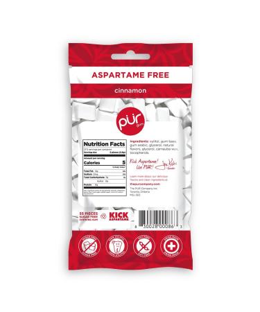 PUR Gum Cinnamon Flavor - Sugar-Free, Vegan, Keto, Gluten-Free - 55 Pieces - Buy Online on GoSupps.com