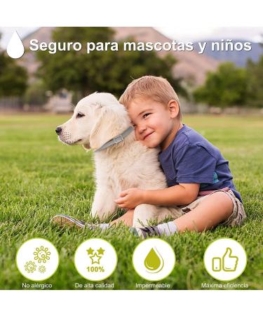 DEWEL 63.5cm Adjustable Waterproof Dog Collar - Effective Tick & Flea Prevention for Dogs & Cats - Buy Online on GoSupps.com
