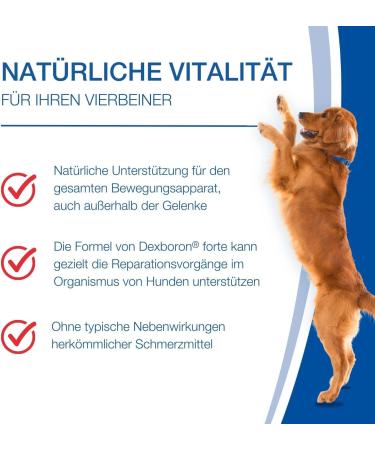 Nutrilabs Dexboron Forte Dog Chewing Tablets - 450 pcs - Natural Regeneration with Devil s Claw Pasture Bark & Treeto Extract for Dogs - Support Your Dog's Health - Buy Online on GoSupps.com