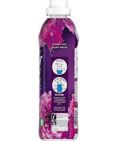 Lenor Fabric Softener Amethyst Flower Dream - 56 Washloads 1.4L | Plant-Based Freshness & Ultimate Softness - Buy Online on GoSupps.com