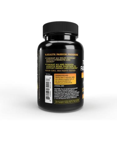 Fadogia Agrestis & Tongkat Ali Complex - 1300mg Potent Formula for Endurance & Stamina - 120 CT International Shipping - Buy Online on GoSupps.com