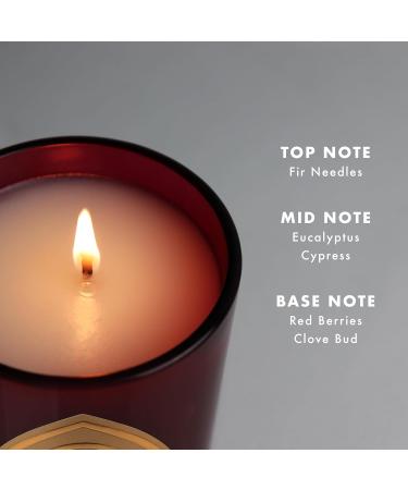 Saint Nicholas Scented Candle - Prayer Coin & Holy Oil - Generosity Aromatherapy - 80 Hour Burn - Special Edition Red Fir - Buy Online on GoSupps.com