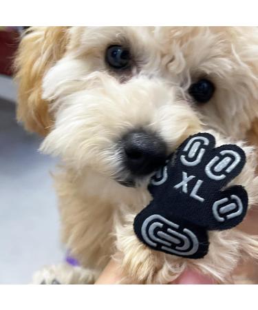 Wolancy 24 Pieces Dog Paw Protector - Anti-Slip Stickers for Hardwood Floors | Self-Adhesive Traction Pads - 6 Sets for Safe Dog Walking - Buy Online on GoSupps.com