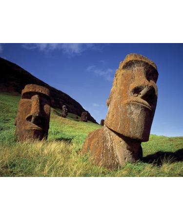 100% Natural Chilean Hazelnut Honey - 300g Jar Gourmet Excellence - Buy Online on GoSupps.com