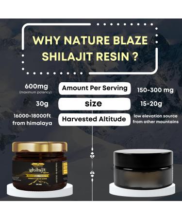  Nature Blaze Nature Blaze Himalayan Shilajit (resin 30 g) - Buy Online on GoSupps.com