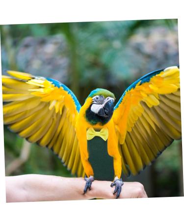 MipCase 5ST Flying Bird Diapers & Flight Suits with Leash | Chicken Duck & Parrot Clothing | Cotton Poultry Diapers for Small Pets | 5 Pack (20x11cm) - Buy Online on GoSupps.com