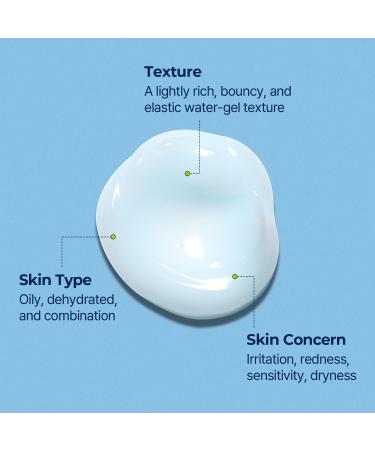 Torriden DIVE-IN Hyaluronic Acid Soothing Cream 3.38 fl oz | Best Facial Moisturizer for Sensitive Dry Skin | Fragrance-free Vegan Cruelty-Free - Buy Online on GoSupps.com