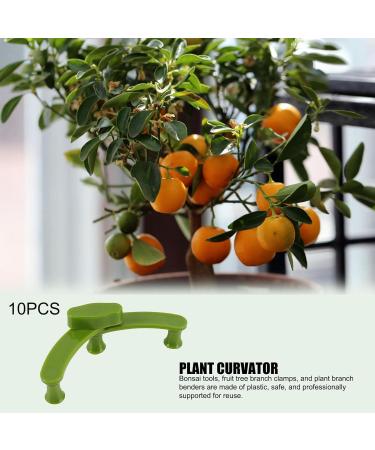 Plant Trainers Clips for Optimal Growth | Bend Branch Clips for Fruit Trees & Bonsai | International Shipping Available - Buy Online on GoSupps.com
