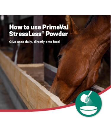 Primeval Stressless Horse - Natural Trimagnesium Citrate & Chicory Fiber for Calm Transport & Vet Visits - 500g Powder Supplement - Buy Online on GoSupps.com