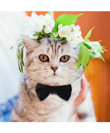 Shop Cute Breakaway Cat Collars with Bells - Personalized Neck Bands for Kittens & Puppies in Blue & Black - Ideal for Small Pets - Buy Online on GoSupps.com