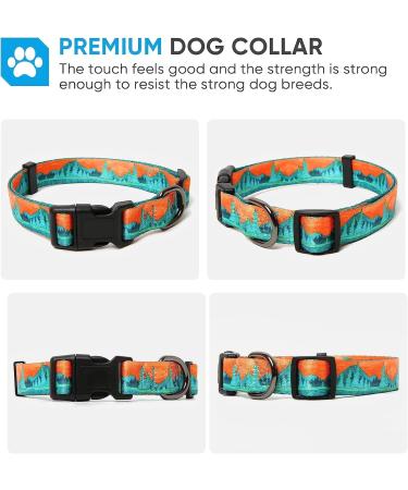 Heele Dog Collar for All Sizes - Adjustable Comfortable Robust Patterned Collars for Puppies & Dogs - Ideal for Wilderness Adventures (L: 40.5-65cm W: 2.5cm) - Buy Online on GoSupps.com