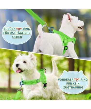 Eyein No-Pull Dog Harness with Leash - Soft Padded Reflective & Adjustable for Puppies Small & Large Dogs Cats - Green XXS - Buy Online on GoSupps.com