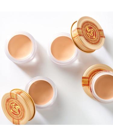 SKINFOOD Salmon Dark Circle Concealer Cream 2 - Full Coverage Under Eye Concealer - Salmon Beige Shade - 0.35 Oz - Buy Online on GoSupps.com