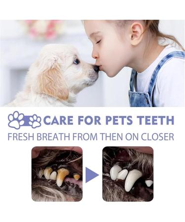 Pet Oral Repair Gel Pet Oral Restoration Gel Pet Teeth Repairing Kit Pet Teeth Whitening Pen Pet Breath Freshener Keep Your Pet Oral Healthy (2PCS) - Buy Online on GoSupps.com