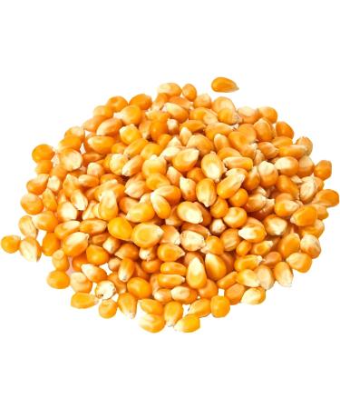 Old India Popping Corn 2Kg - Premium Quality Popcorn Kernels - Pack of 1 - Buy Online on GoSupps.com