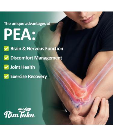 Liposomal Palmitoylethanolamide 2000MG + Luteolin 200MG + Turmeric 200MG & Fisetin 100MG Micronized Pea 99% Highly Purified Enhanced Absorption Pea Supplement 240 Capsules - Buy Online on GoSupps.com