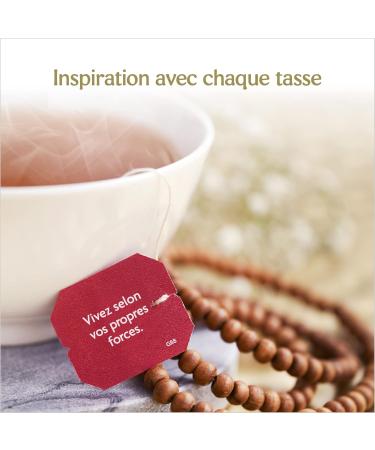 YOGI TEA Choco Chai Organic Infusion Natural Chocolate Flavor Blend of Cocoa Licorice and Cinnamon Loose Tea 8 Boxes of - Buy Online on GoSupps.com