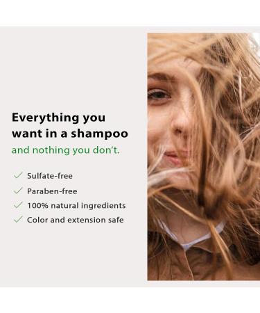 Carlucci Fortify Cleansing Shampoo - Vitabond Enriched for Normal Dry & Color-Treated Hair - 10 oz | International Shipping Available - Buy Online on GoSupps.com