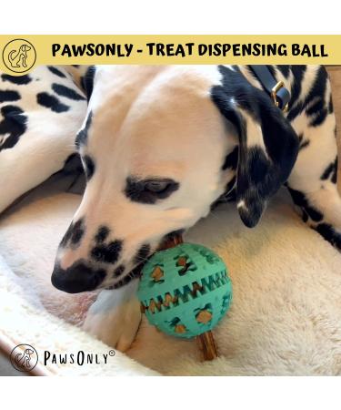 Pawsonly Dog Ball for All Dogs | Natural Rubber Feeding & Dental Toy | Intelligence Ball (Large 8 cm Green) - Buy Online on GoSupps.com