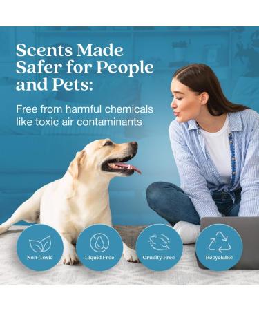 Buy Enviroscent Non Toxic Air Freshener - Rainwater & Bamboo Plug-in | 45+ Days Home Fragrance | Refillable Essential Oil Set - Buy Online on GoSupps.com