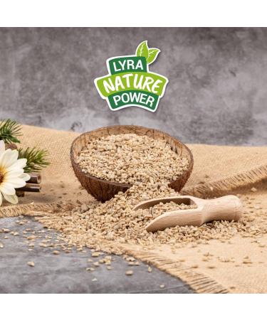 Lyra PET 10 kg Sunflower Seeds | Premium Wild Bird Feed Year-Round | Ideal for Young Birds | Energy Boosting Feed for All Seasons - Buy Online on GoSupps.com