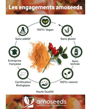 Organic Rose Hip Powder 250G | Joints Mobility Antioxidant Vitamin C Vitality | Superior Quality - Buy Online on GoSupps.com