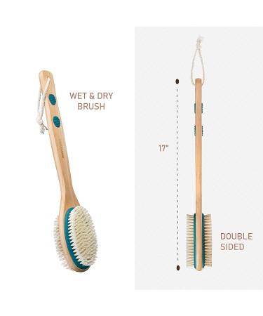MainBasics Dual-Sided Bath Shower Brush - Long Handle Back Scrubber & Body Exfoliator in Teal - Buy Online on GoSupps.com