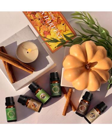 Premium Autumn Fragrance Oils Set | Fall Essential Oils for Diffusers Soap & Candle Making - Cinnamon Pumpkin Spice Apple Cider Vanilla Forest Pine Snickerdoodle - Buy Online on GoSupps.com