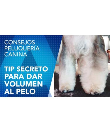 Artero Zoom Foam Conditioner - Professional Quality for Easy Pet Grooming - Buy Online on GoSupps.com